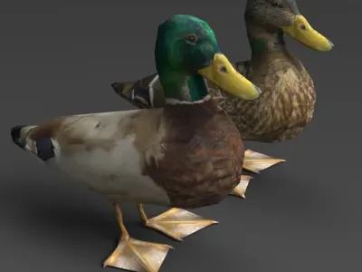 Ducks Low-poly 3D model