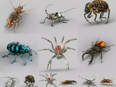 Insect Collection Vol 1 Low-poly 3D model