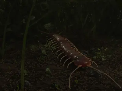 Millipede Arthropod Insect Free low-poly 3D model