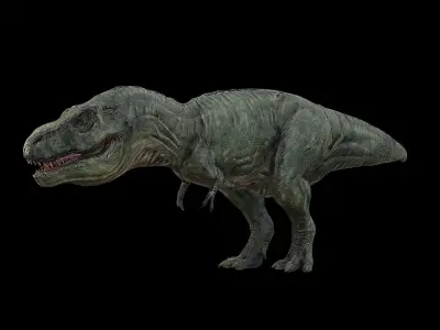 Tyrannosaurus - T-rex Dinosaur Low-poly 3D model