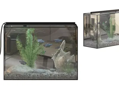 Fish Gourami Aquarium 70x30 3D model