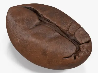 Coffee Bean Roasted 4 v 2 3D model
