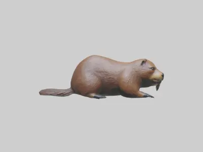 Lying Beaver Model 1 Low-poly 3D model