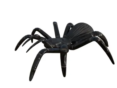 Spider 3d Model 3D model