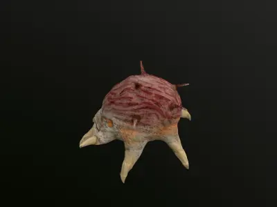 worms bug dust insect  Low-poly 3D model