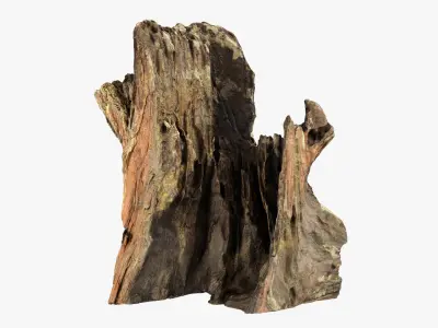 Tree Trunk Piece 16 3D model