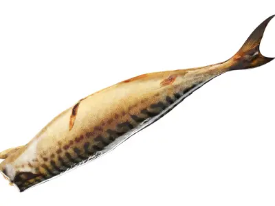 Smoked mackerel Low-poly 3D model