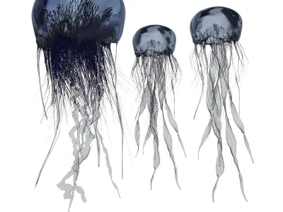 jellyfish with long tentacles 3D model