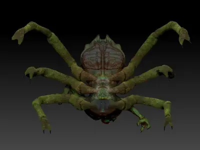 Insectorso  cartoon character  3D model
