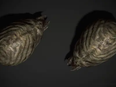 Worm Lt1 - Game Ready Low-poly 3D model Low-poly 3D model