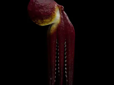 Animated Octopus 3D model buy