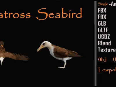 Albatross Bird Low-poly 3D model
