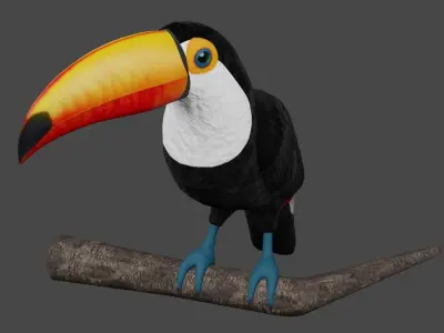 Toucan Ramphastos Toco Low-poly 3D model