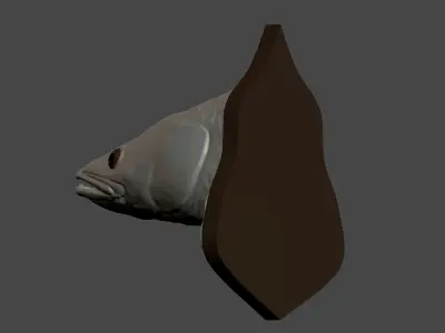 Zander detailed texture trophy taxidermy for 3D printing Free 3D print model