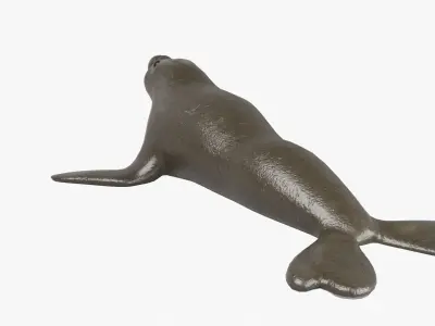 Elephant Seal Low-poly 3D model