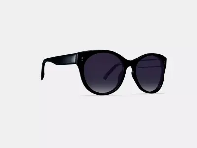 Annika Sunglasses in Jet Black 3D model