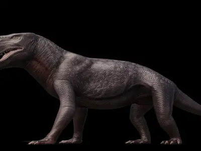 Inostrancevia Low-poly 3D model