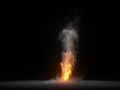 Burning Tree Animation 250 Frames 3D Model 3D model