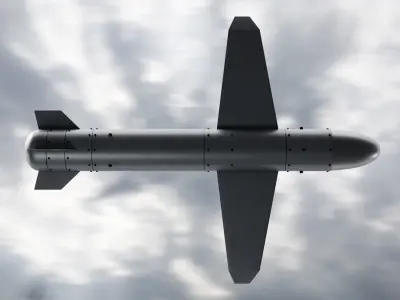 Palianytsia rocket drone missile 3D model
