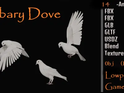 Dove Bird Low-poly 3D model