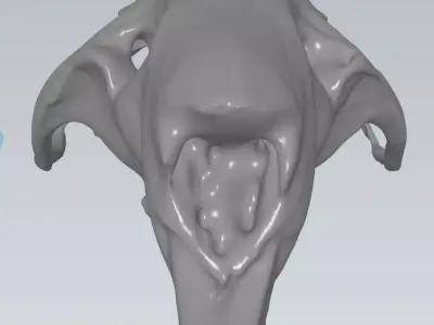 MakeIT  Rat Skull 3D Model  3D model