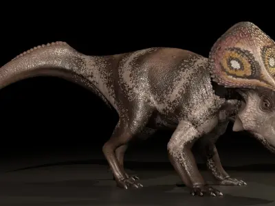 Protoceratops Asset Pack Low-poly 3D model