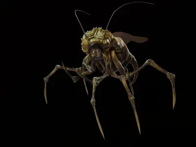 Land Bug 1 Low-poly 3D model