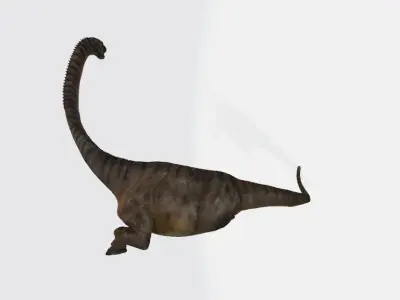 Europasaurus 3d model dinosaur with long neck 3D model