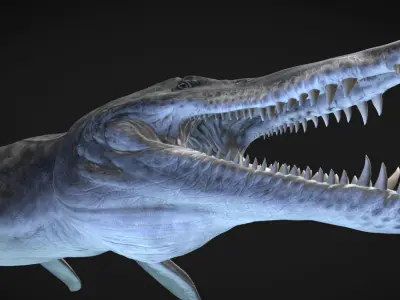 Kronosaurus Low-poly 3D model