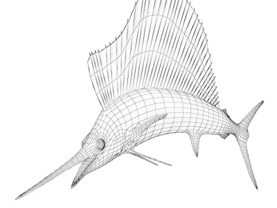 Sailfish 3D model