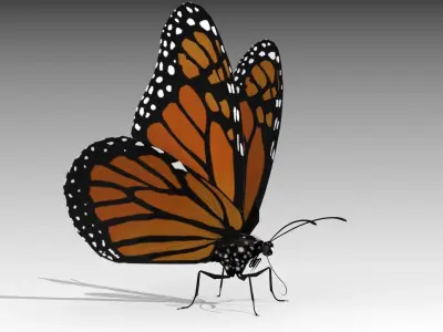 Monarch butterfly Low-poly 3D model