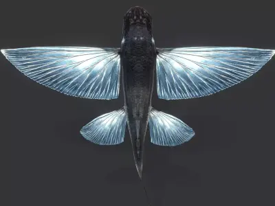 Realistic Flying Fish Animated 3D model