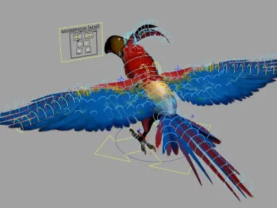 Toucan 3D model