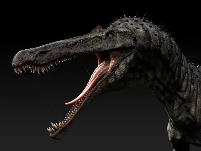 Suchomimus tenerensis Low-poly 3D model