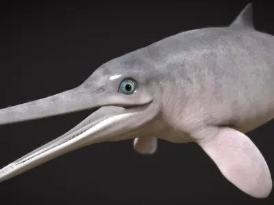 Ophthalmosaurus Low-poly 3D model