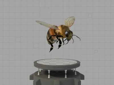 Honey Bee Low-poly 3D model