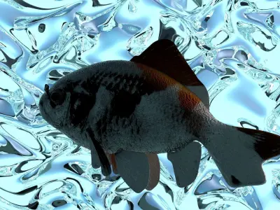 Water Animals In Water 3D model