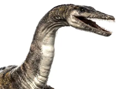 Plesiosaurus (Rigged) 3D model