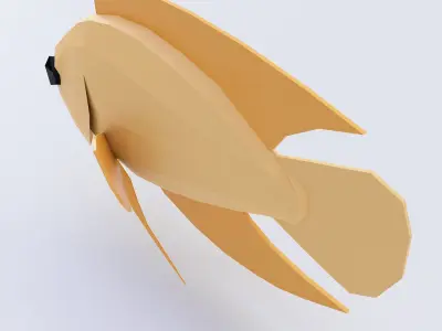 Severum Banded cichlid fish 3d model  Low-poly 3D model
