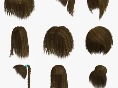 Polygon Hair Collection 4 3D model