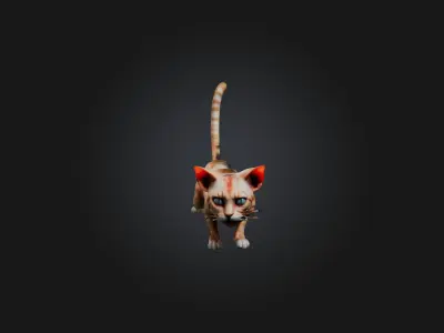 Realistic Hurt Cat Model Low-poly 3D model