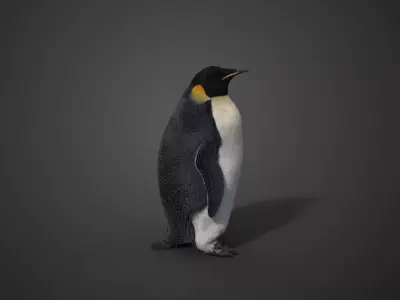 Emperor Penguin Rigged  VFX Grace 3D model