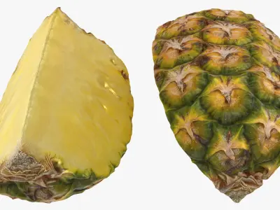 Pineapple Slice 3D model