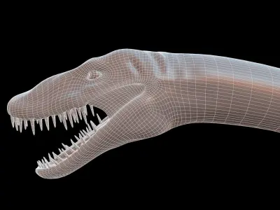 Elasmosaurus platyurus 3D model