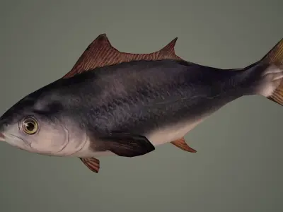 fish underwater ocean sea water animal sardine shoal nature 3D model