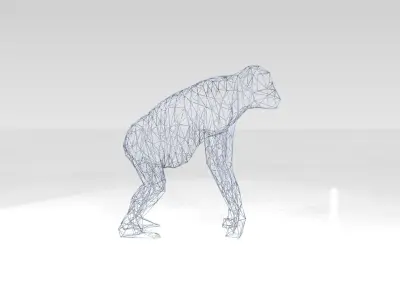 Orangutan Wireframe 3D model