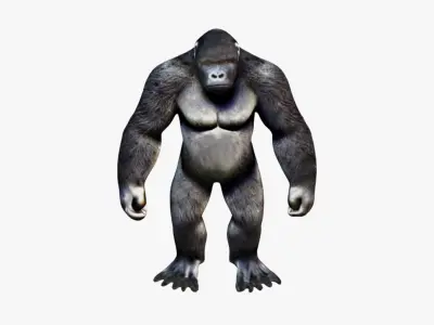 Gorilla Free 3D model