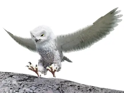 Snow Owl - BLENDER Low-poly 3D model