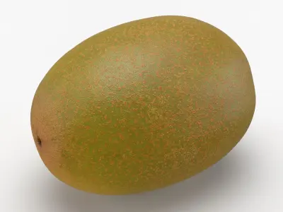 Golden Kiwi 3D model purchase