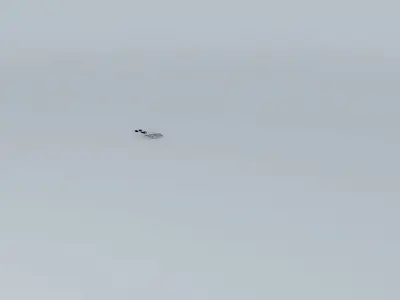 The Bad Pun Racer Free 3D model